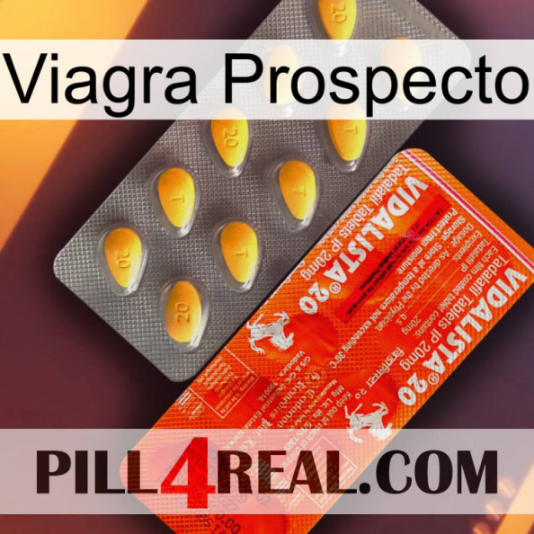 Prospecto Viagra new01.jpg